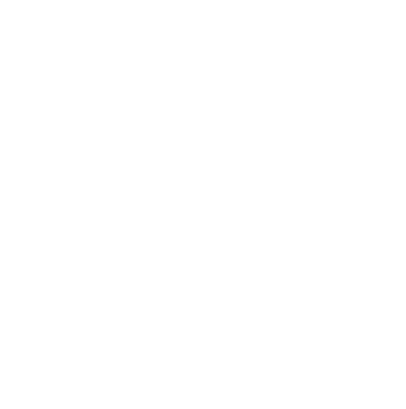 App Annie